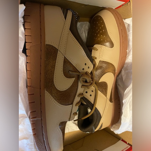 Brown LTE Jordan  Dunks - Picture 1 of 4